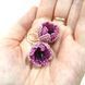 Pink Beaded Flower Earrings, Purple Crystal Accent, Stainless Steel Hooks