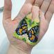 Handmade Butterfly Earrings, Spring and Summer Jewelry